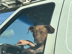 Foto yang Harus Dilihat Dua Kali, Baru Deh Ngeh