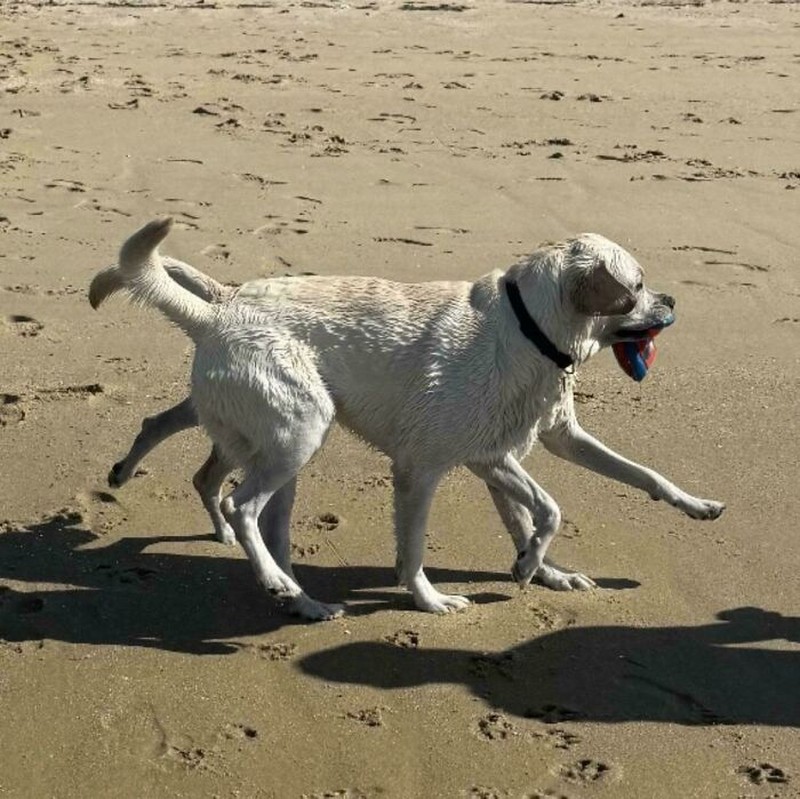 Foto-foto berikut ini harus dilihat dua kali biar nggak bingung lagi. Ilusinya lumayan mengecoh, sih.