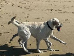 Foto yang Harus Dilihat Dua Kali, Baru Deh Ngeh