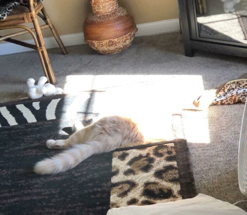 Foto-foto berikut ini harus dilihat dua kali biar nggak bingung lagi. Ilusinya lumayan mengecoh, sih.