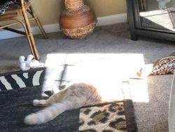 Foto yang Harus Dilihat Dua Kali, Baru Deh Ngeh