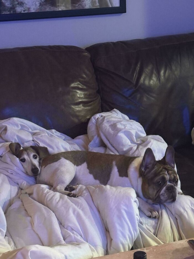 Foto-foto berikut ini harus dilihat dua kali biar nggak bingung lagi. Ilusinya lumayan mengecoh, sih.