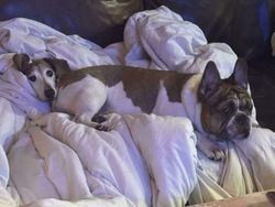 Foto yang Harus Dilihat Dua Kali, Baru Deh Ngeh