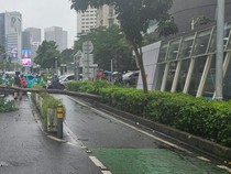 Ada Pohon Tumbang di Jl Sudirman, Kendaraan Hanya Bisa Lewat 1 Lajur