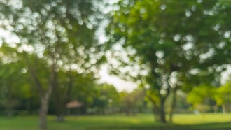 Duh, Taman Kota Cawang Diduga Jadi Sarang Asusila