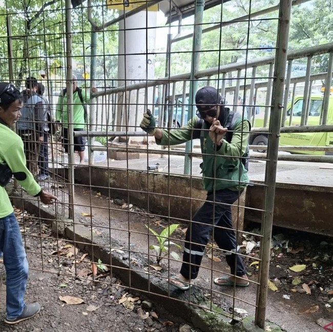 Kondisi Terkini Taman Kota Cawang Diduga Jadi Sarang Asusila LGBT