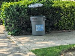 Keren! Foto dengan Ilusi Optik yang Bikin Jidat Mengkerut