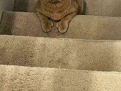 Keren! Foto dengan Ilusi Optik yang Bikin Jidat Mengkerut