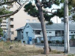 Keren! Foto dengan Ilusi Optik yang Bikin Jidat Mengkerut