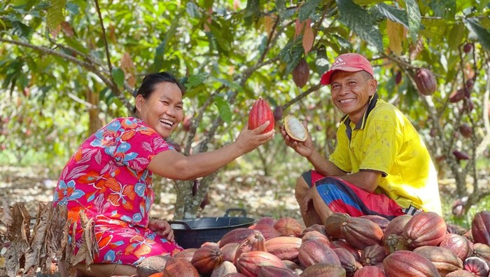 Mars Incorporated mendukung industri kakao di Indonesia.