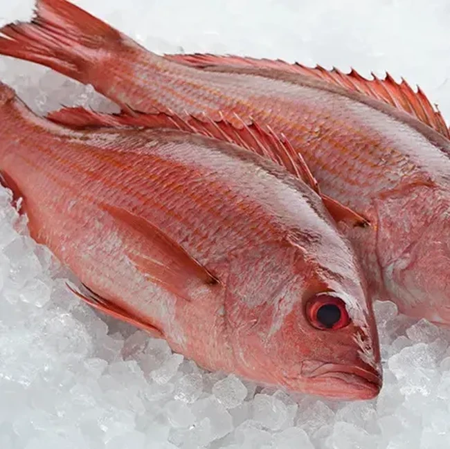 Jangan Salah! Ini Istilah dalam Bahasa Inggris untuk Nama Ikan Lokal