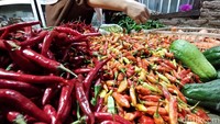 Namun bila ada pembeli yang menginginkan dalam jumlah banyak, harganya bisa di angka Rp 89 ribu/kg. Sedangkan pedagang eceran, bisa mendapat harga Rp 95 ribu perkilogram.