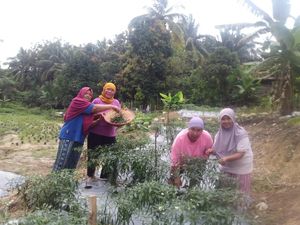 Ibu-ibu di Tanjung Karangan Manfaatkan Program EcoGrow Mom Jadi Cuan