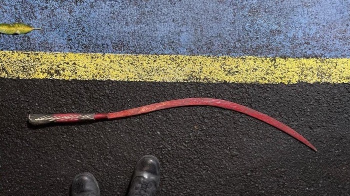 Polda Metro Tangkap 62 Pengedar Narkoba di Tangerang, Sita Ribuan Paket