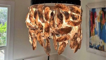 Lampu gantung dari cangkang kerang ini niatnya mungkin estetik ala pantai. Tapi pas nyala malah mirip instalasi misterius yang bikin tamu mikir dua kali buat makan malam. Dok. BoredPanda