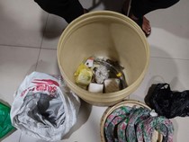 Fakta-fakta Penggerebekan Sita 3 Kg Bubuk Mercon Ilegal di Malang