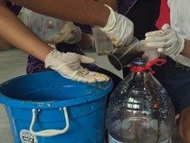 Inovasi Ekologis SMPN 13 Denpasar: Sulap Sampah Jadi Eco Enzyme dan Sabun