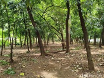 Sudut Gelap Taman Kota Cawang yang Bikin Tercengang