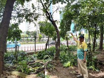 Petugas Pangkas Pohon-Tambah Lampu di Taman Kota Cawang Diduga Sarang Asusila