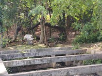 Petugas Sempat Ciduk 4 Pria di Taman Kota Cawang Diduga Jadi Sarang Asusila