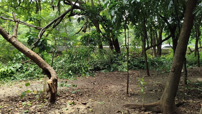 **Taman Kota Cawang Diperketat, Petugas Gabungan Tangkal Dugaan Praktek Asusila**