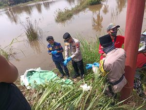 Mayat Mr X Ditemukan di Area Persawahan Banyuasin