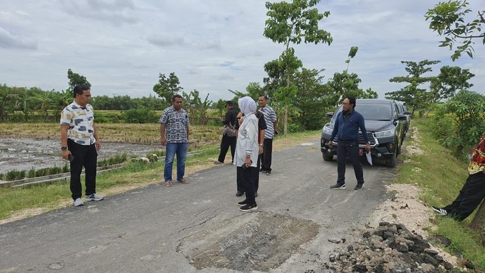 Proyek peningkatan jalan di Desa Ngampal Bojonegoro