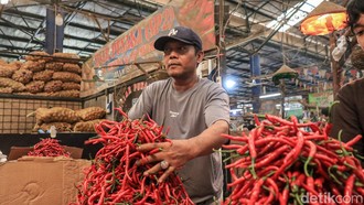 Stok Cabai di Jakarta Aman Jelang Idul Fitri