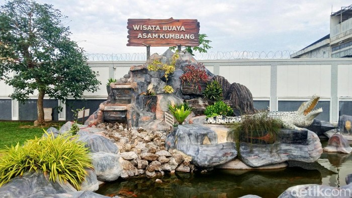 Wisata Penangkaran Buaya Asam Kumbang Medan (Dok: Olivia Andrea/detikSumut)