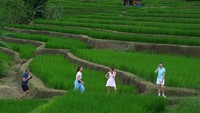 Jatiluwih Gelar Nyepi Sawah 2 Hari, Tutup Pintu buat Wisatawan