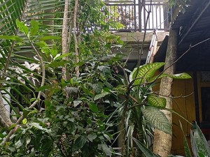 Gegara Angin Bu Ratna Berjemur di Lantai 2, padahal Niatnya Jemur Baju