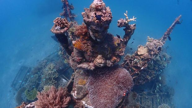 Struktur gajah mina, salah satu struktur  yang besar di Teluk Pemuteran, Buleleng. Terumbu karang di struktur tersebut tumbuh dengan teknologi biorock.