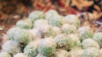 Berjumpa Kuliner Nusantara Saat Buka Puasa Ramadan di Perantauan