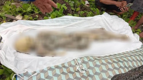 Warga digegerkan dengan penemuan jasad tinggal kerangka di Desa Sebotok, Pulau Moyo, Kabupaten Sumbawa, NTB, Minggu (1/3/2026). (Foto: Dok. Istimewa)