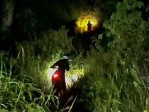 Tafakur Alam Jelang Sahur, SukaTrabas Jelajahi Hutan Bulungan