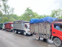 Dari Petani ke Sopir Sampah, Perjuangan Agus di Denpasar