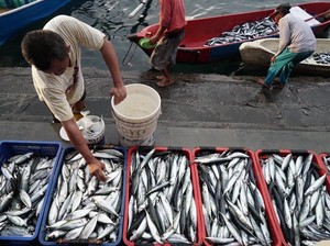 Potret Arsitektur Ketahanan Pangan Biru di Ramadan 2026