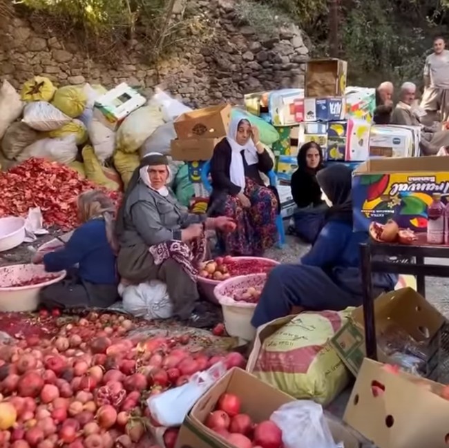 Di Irak Ada Festival Buah Delima yang Disambut Meriah oleh Warlok!
