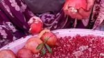 Di Irak Ada Festival Buah Delima yang Disambut Meriah oleh Warlok!