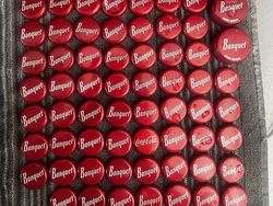 Game sebelum Buka Puasa: Temukan Mereka yang Berkamuflase!