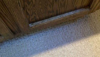 Cari softlens yang jatuh. Foto: Easily_distractd via Bored Panda