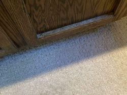 Game sebelum Buka Puasa: Temukan Mereka yang Berkamuflase!