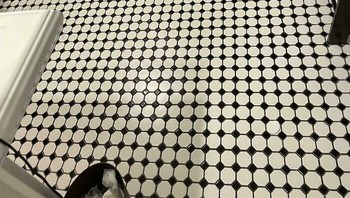 Bisa bantu temukan sabunnya yang terjatuh ke lantai? Foto: peatypeacock via Bored Panda