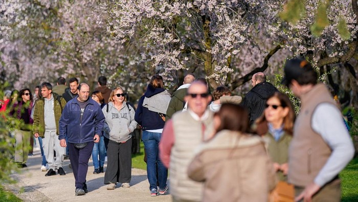 People spend time outside amongst blooming almond trees at Quinta de los Molinos park in Madrid, Spain, March 1, 2026. REUTERS/Ana Beltran       TPX IMAGES OF THE DAY
