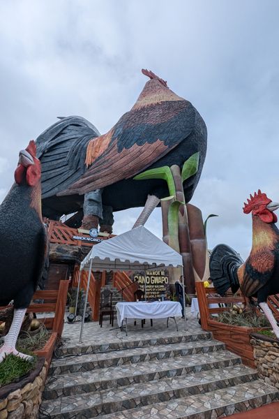 Hotel ini sangat unik karena desainnya berbentuk ayam jago.