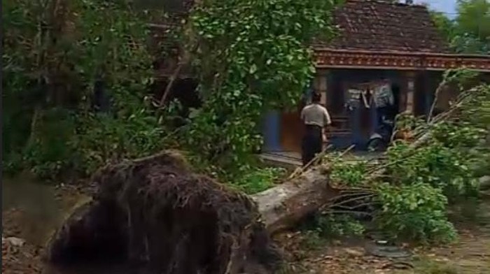 Hujan angin rusak puluhan rumah di Ngawi