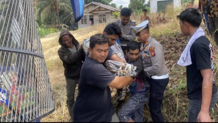 Bus PMH Tabrak Truk di Jalan Lintas Timur Pelalawan, 4 Tewas