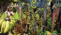 Biasanya pisang menjadi bahan kolak dan takjil, namun tren tersebut belum mampu mendongkrak penjualan tahun ini.  