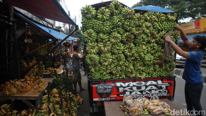 Penjualan pisang di Pasar Lembang Ciledug, Tangerang, menurun selama Ramadan 1447 H. Sepinya hajatan dan pedagang gorengan ikut memengaruhi permintaan.