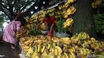 Lesunya Penjualan Pisang di Pasar Lembang Ciledug